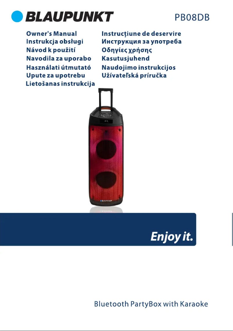 Page 1 de la notice Manuel utilisateur Blaupunkt PB08DB