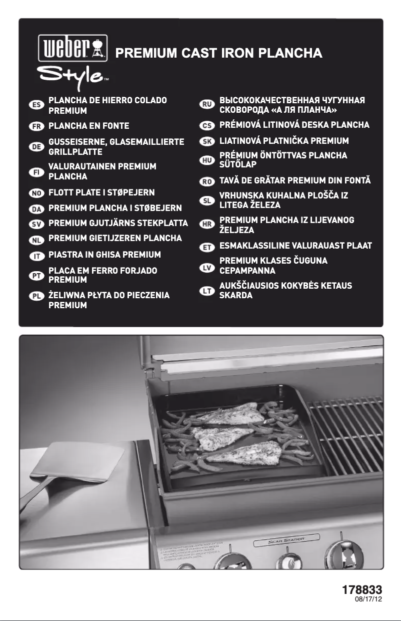 Image de la première page du manuel de l'appareil Style