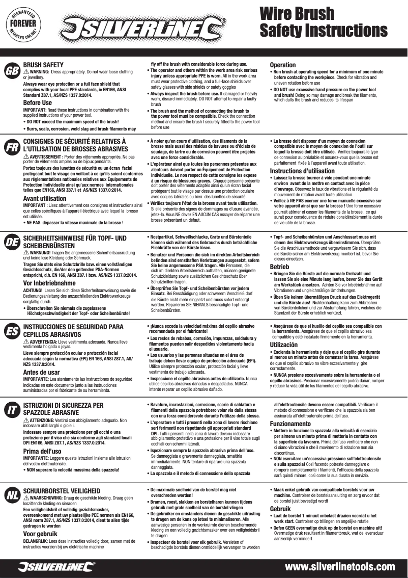 Page 1 de la notice Manuel utilisateur Silverline 721676