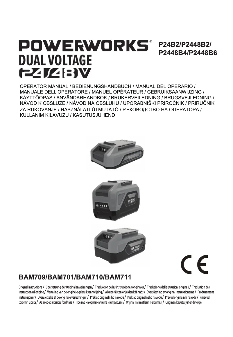 Page 1 de la notice Manuel utilisateur Powerworks P24B2