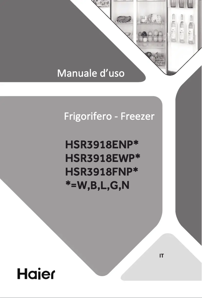 Image de la première page du manuel de l'appareil HSR3918FNPG