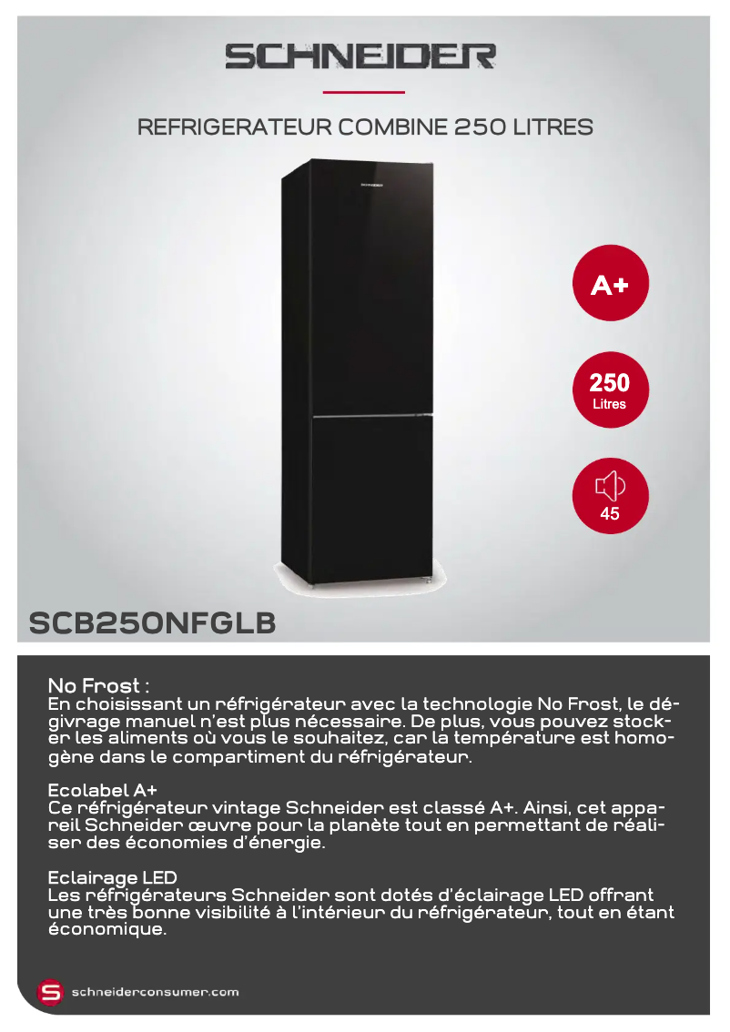 Page 1 de la notice Fiche technique Schneider SCB250NFGL