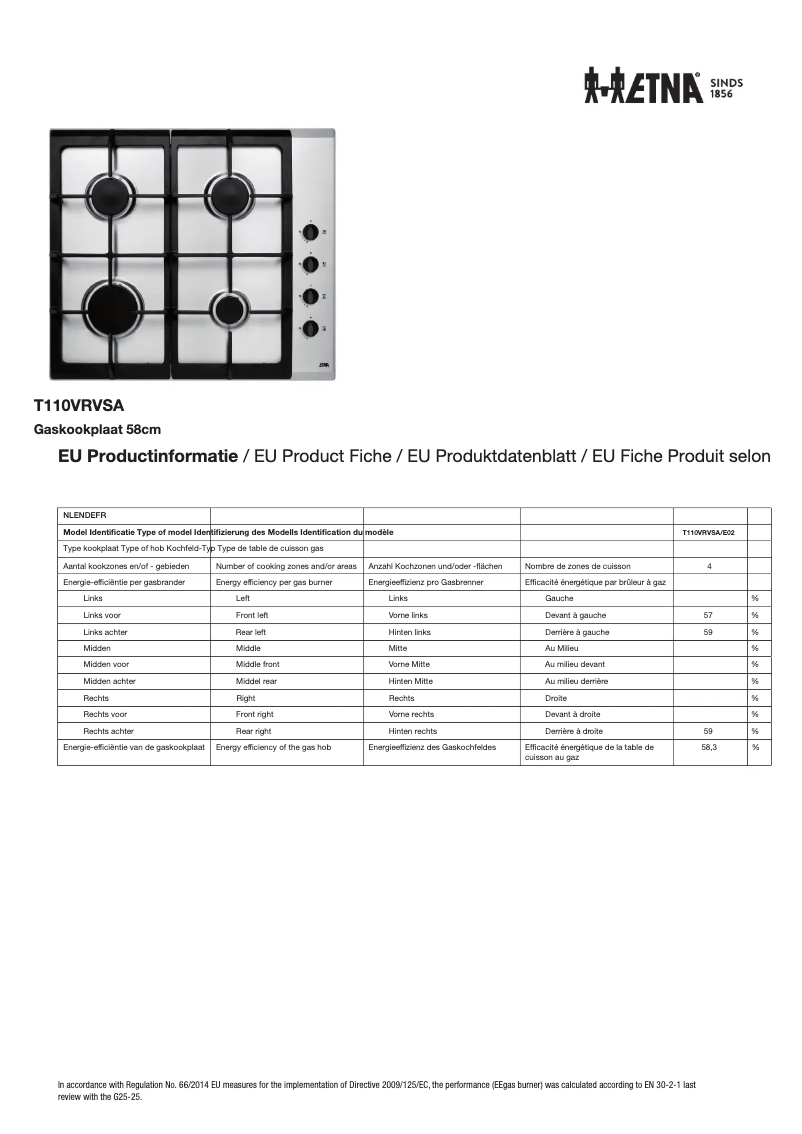 Page 1 de la notice Fiche technique Etna T110VRVSA