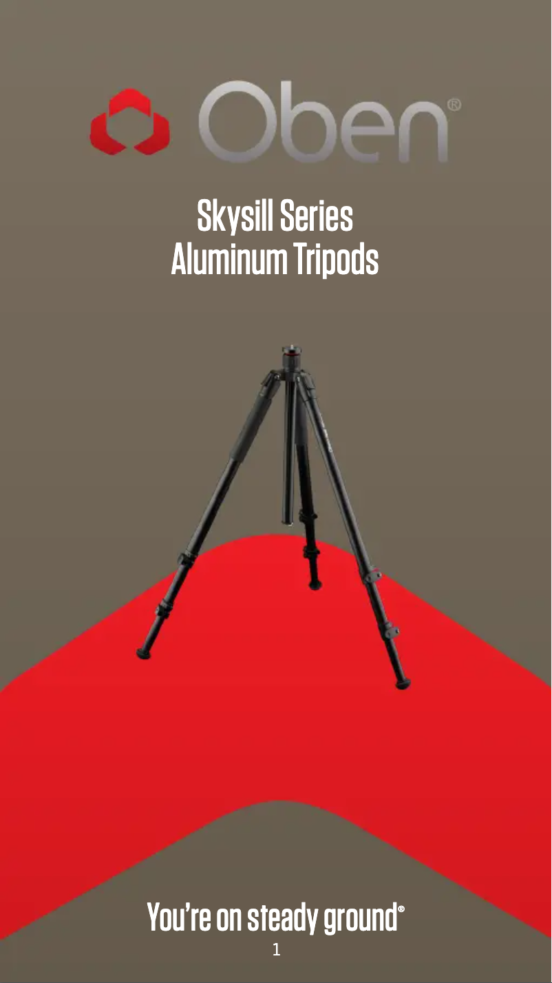 Image de la première page du manuel de l'appareil Skysill ALF-6193L