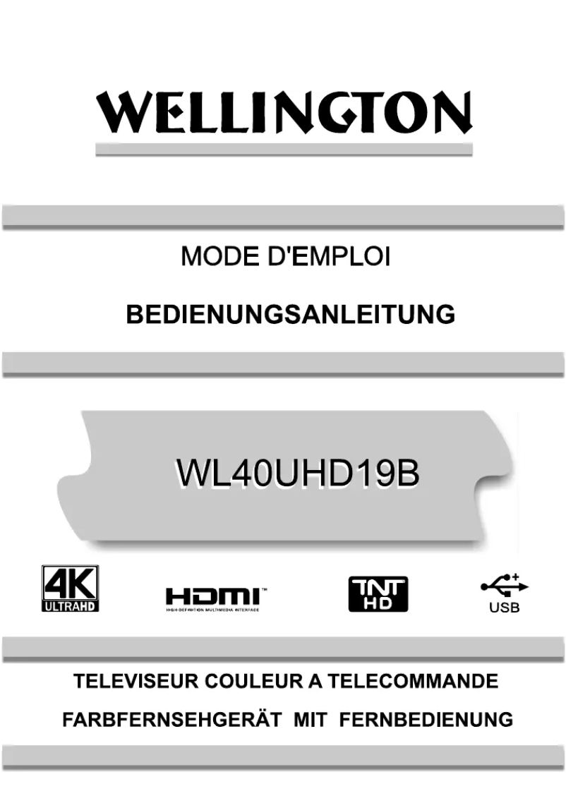 Page n°1 - Manuel utilisateur Wellington WL40UHD19B