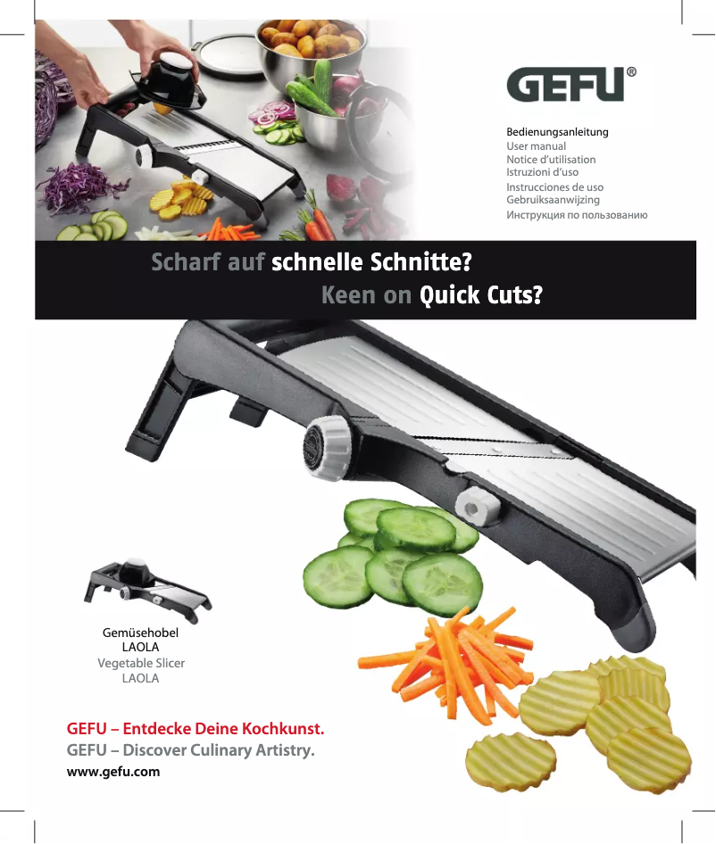 Image de la première page du manuel de l'appareil LAOLA