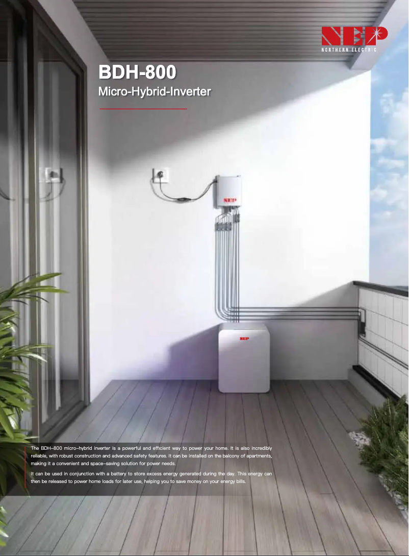 Page 1 de la notice Fiche technique NEP BDH-800