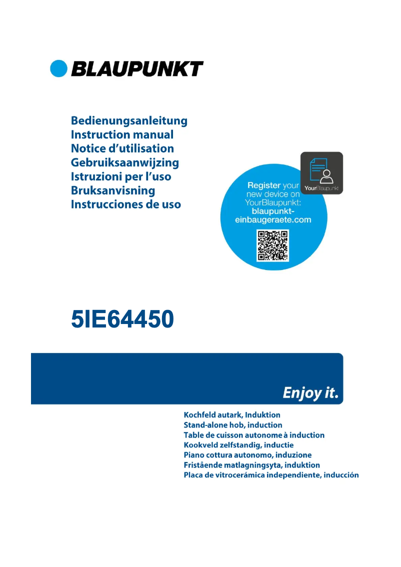 Page n°1 - Guide d'installation Blaupunkt 5IE64450