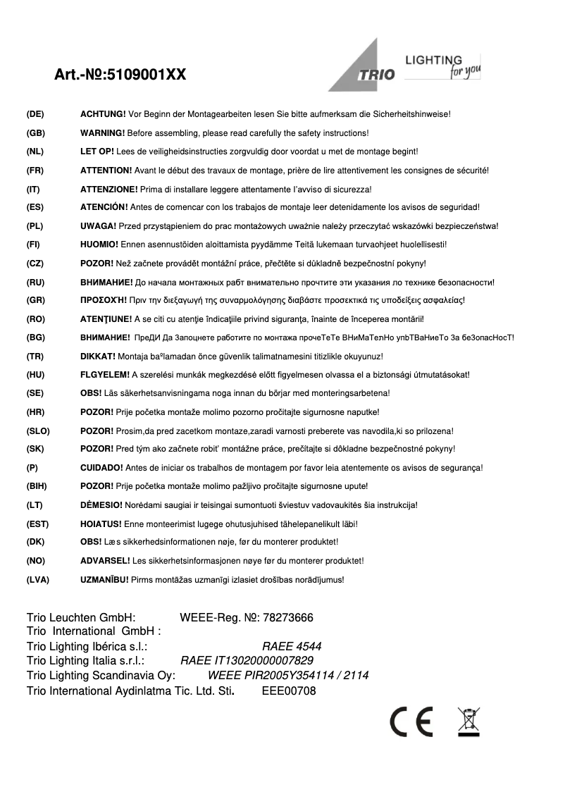 Page 1 de la notice Manuel utilisateur Trio Lighting Rotin 510900111