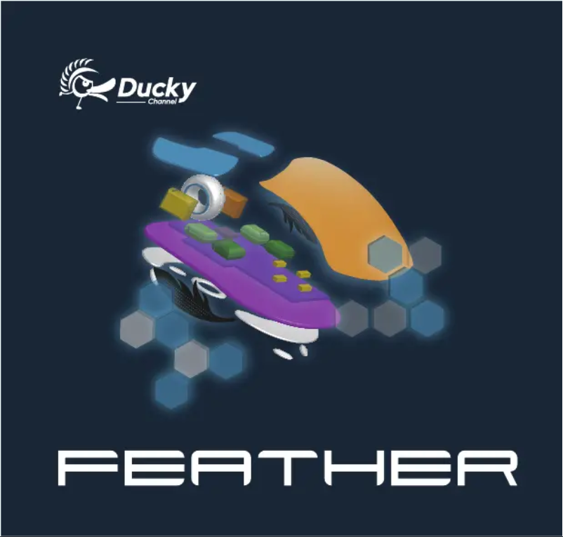 Page n°1 - Manuel utilisateur Ducky Feather