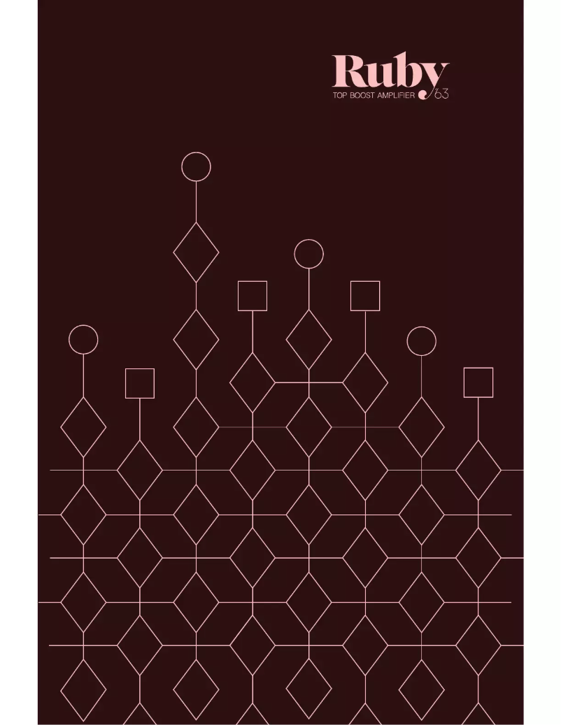 Page n°1 - Manuel utilisateur Universal Audio Ruby '63