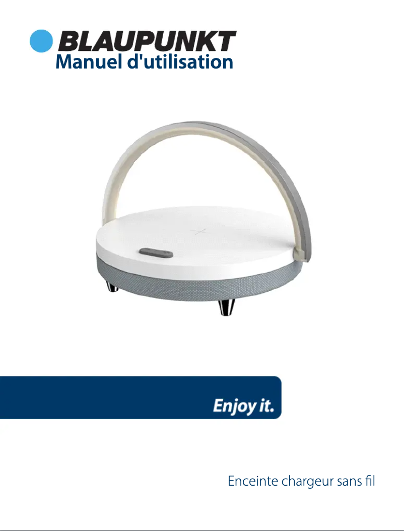 Image de la première page du manuel de l'appareil BLP0420