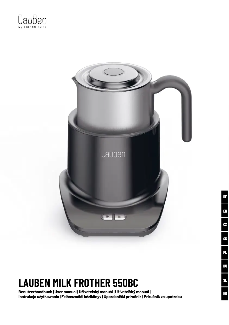Page 1 de la notice Manuel utilisateur Lauben 550BC