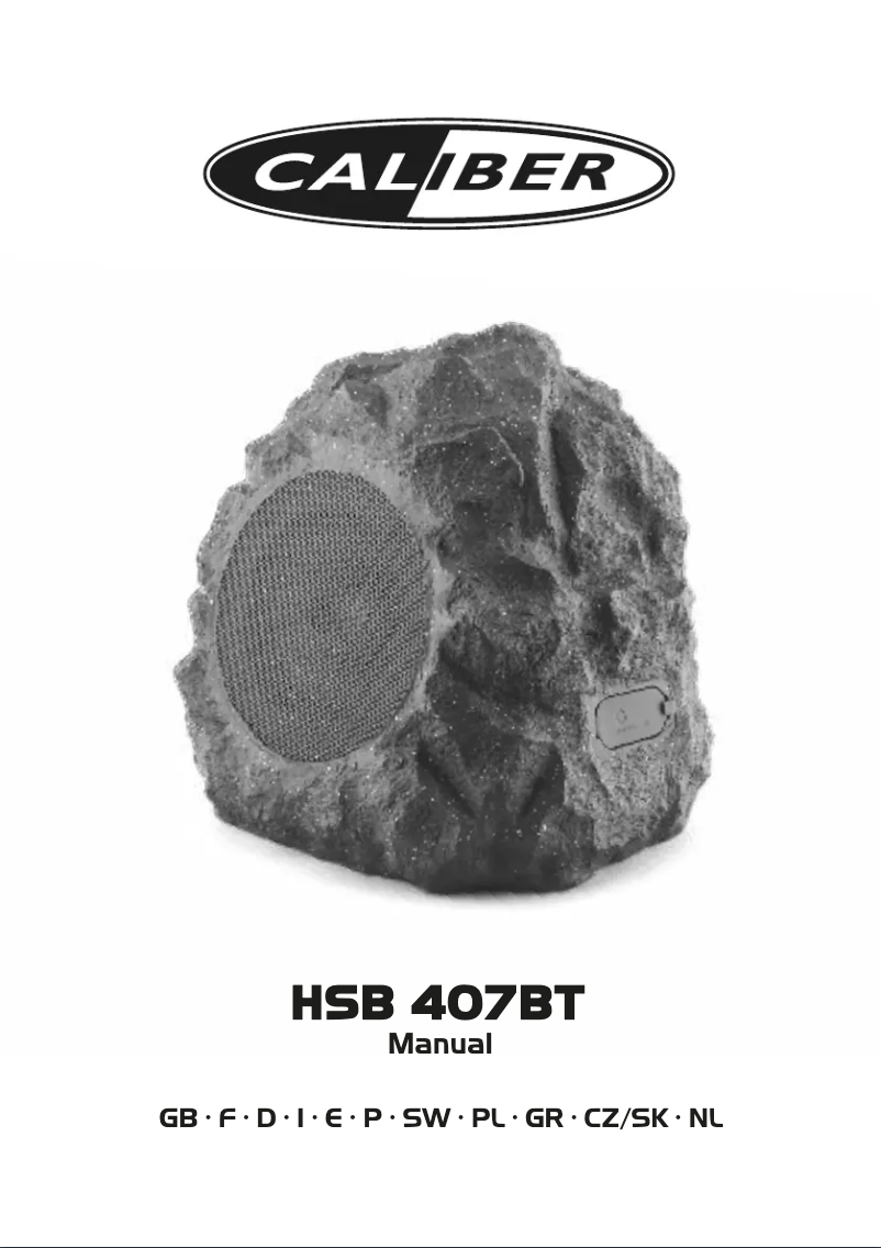 Image de la première page du manuel de l'appareil HSB407BT