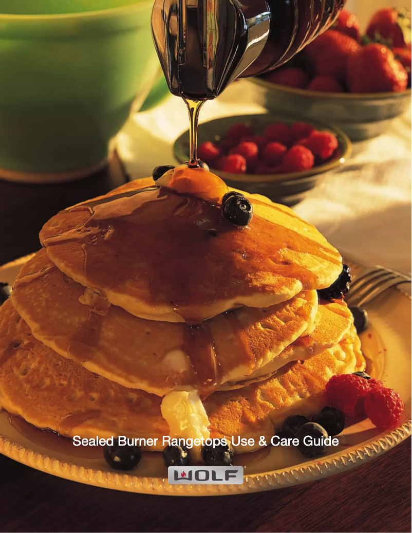 Image de la première page du manuel de l'appareil SRT484F