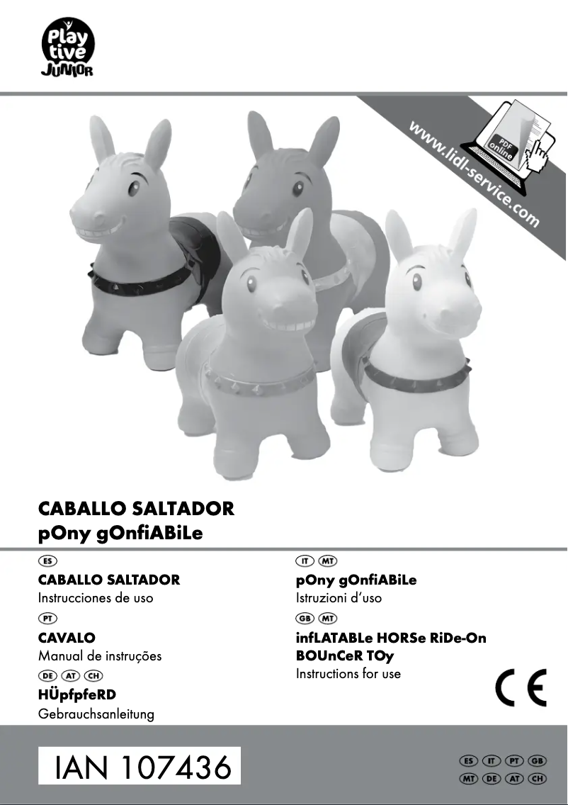 Image de la première page du manuel de l'appareil IAN 107436