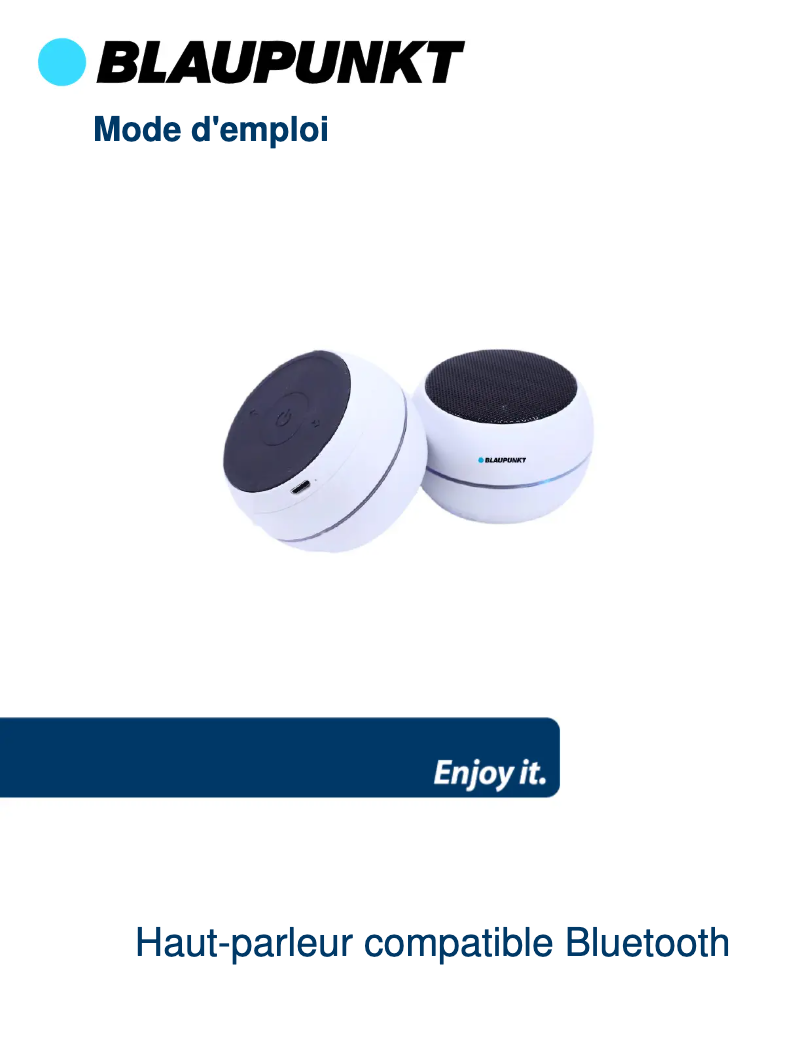 Page n°1 - Manuel utilisateur Blaupunkt BLP3030
