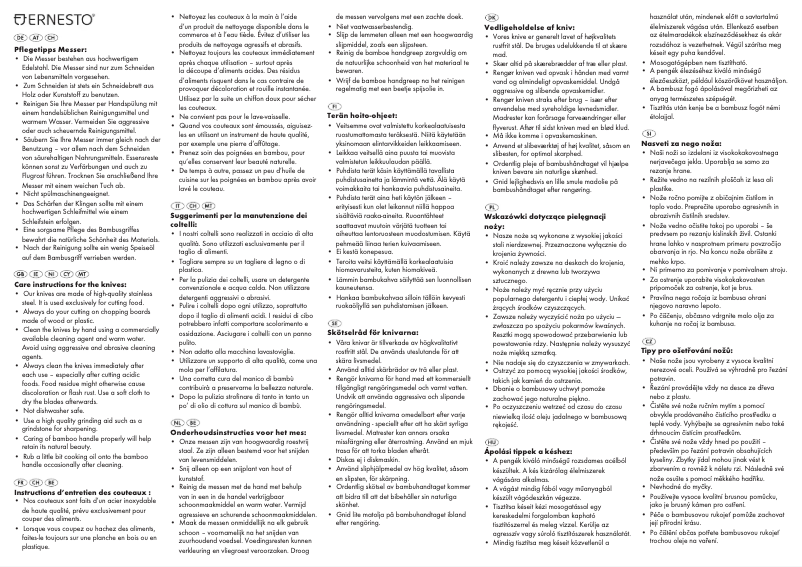 Page 1 de la notice Manuel utilisateur Ernesto HG00250A