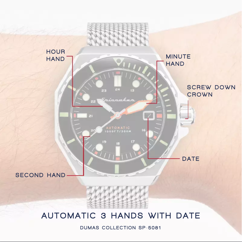 Page 1 de la notice Manuel utilisateur Spin Master Dumas SP-5081-99