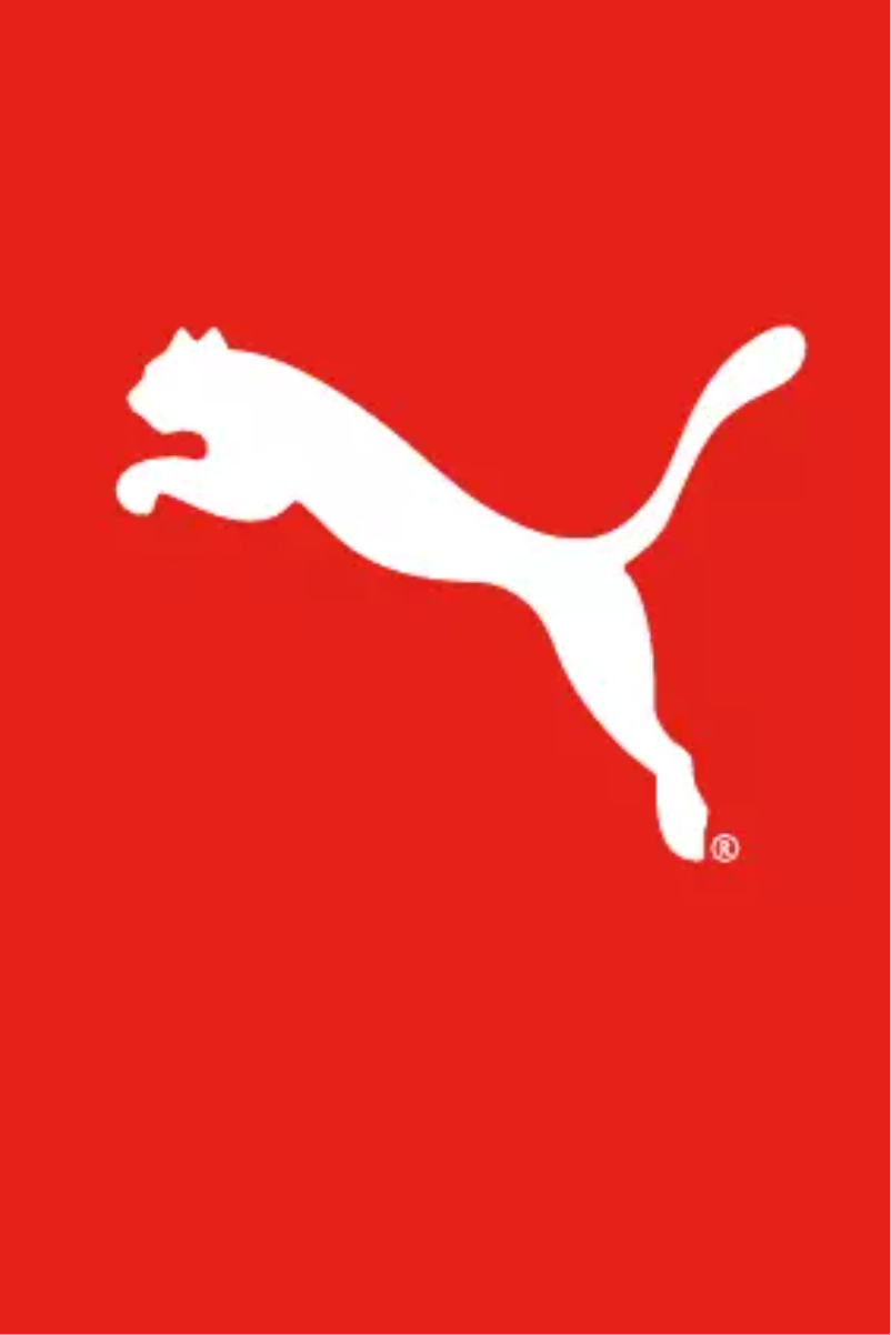 Page n°1 - Manuel utilisateur Puma Half Time