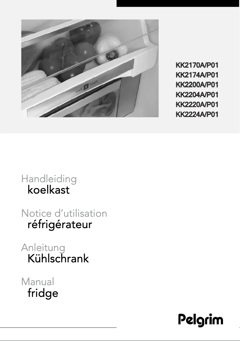 Page 1 de la notice Manuel utilisateur Pelgrim KK2200A