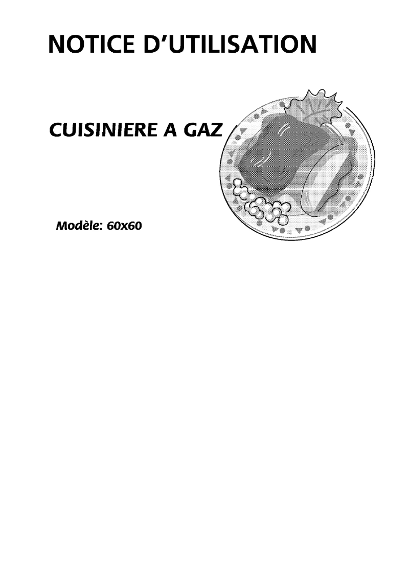 Page 1 de la notice Manuel utilisateur Bluesky BCG 6065