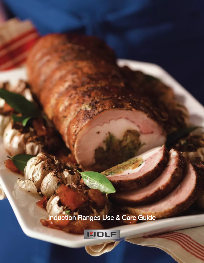 Image de la première page du manuel de l'appareil Professional IR304PE/S/PH