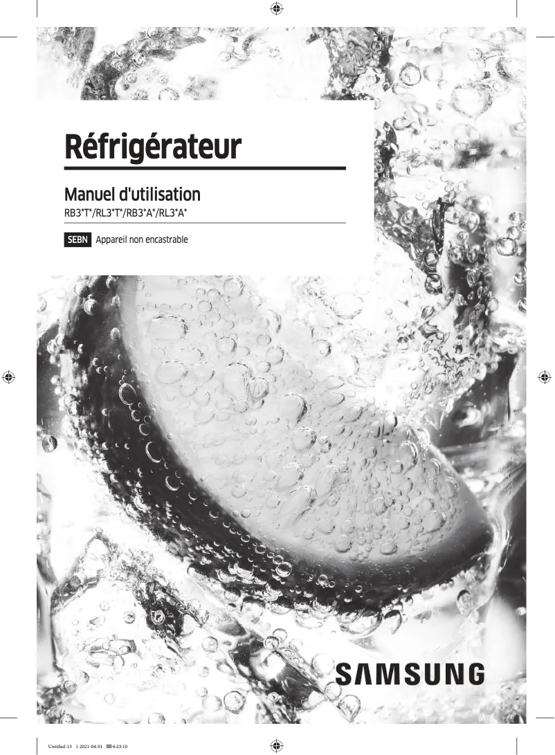 Image de la première page du manuel de l'appareil RR39A746341