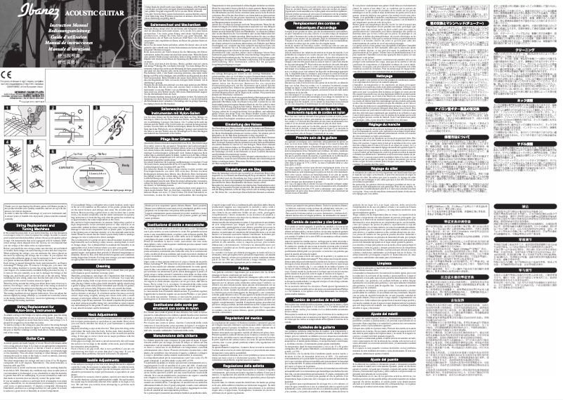 Page 1 de la notice Manuel utilisateur Ibanez AEG10II