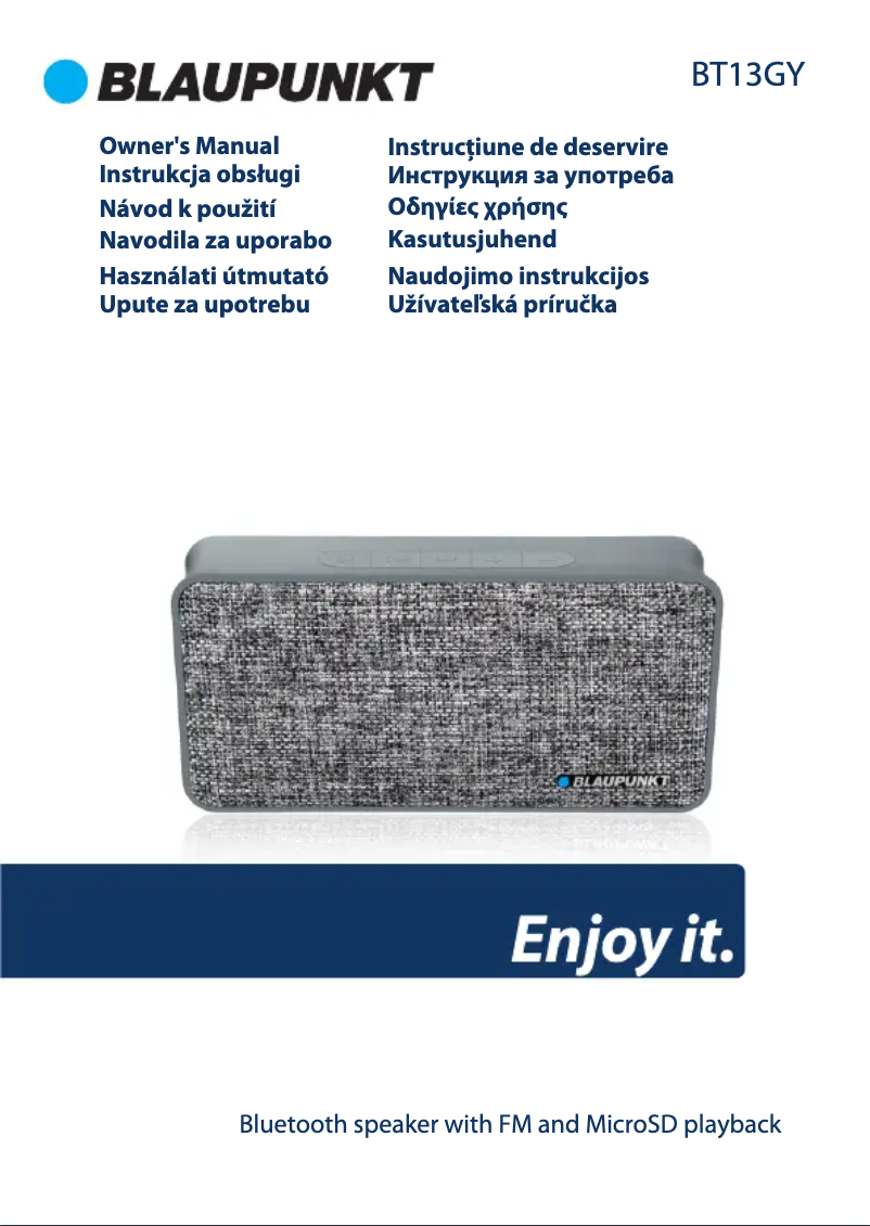 Page 1 de la notice Manuel utilisateur Blaupunkt BT13GY