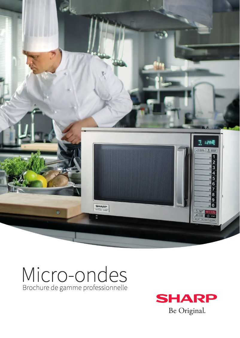 Image de la première page du manuel de l'appareil YB-S4202AE