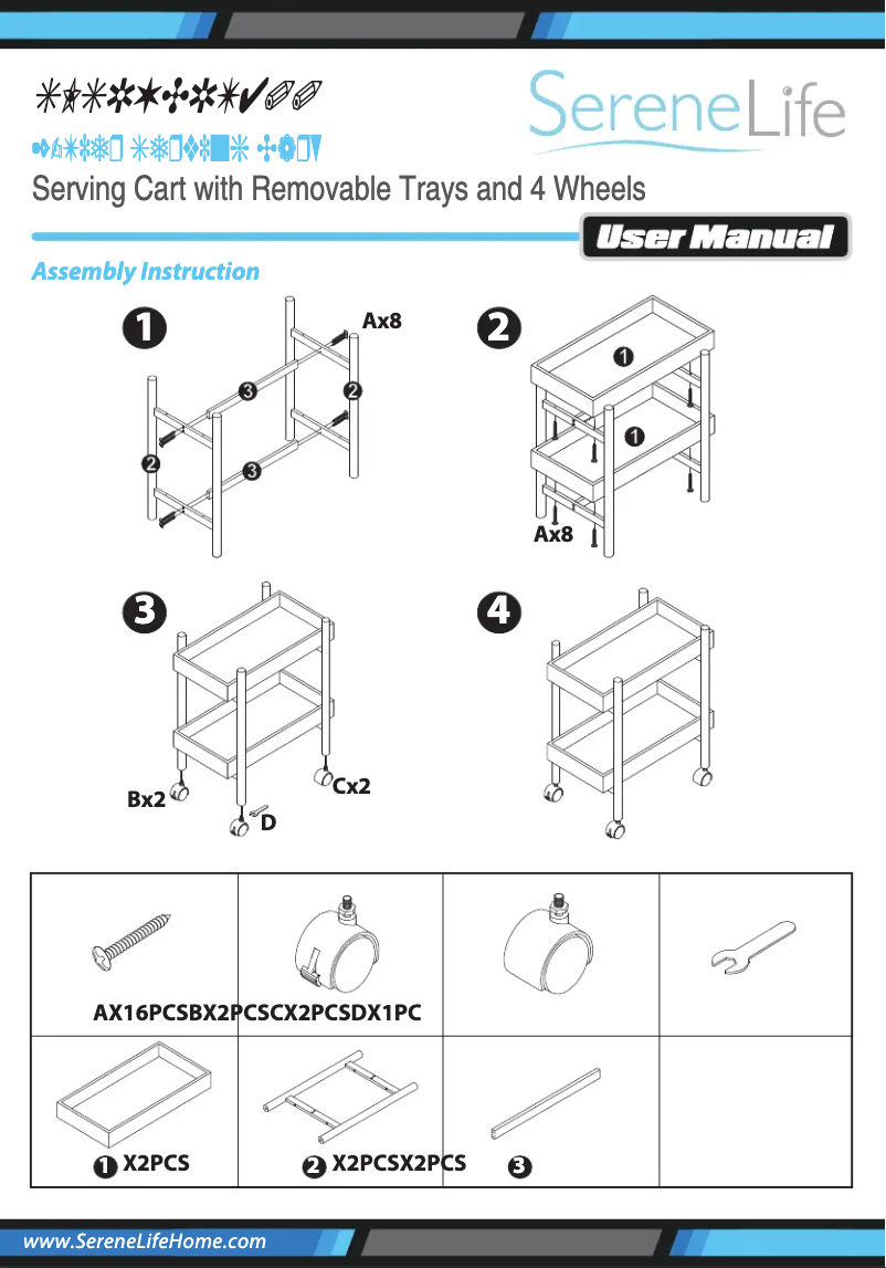 Image de la première page du manuel de l'appareil SLSRVCRT400