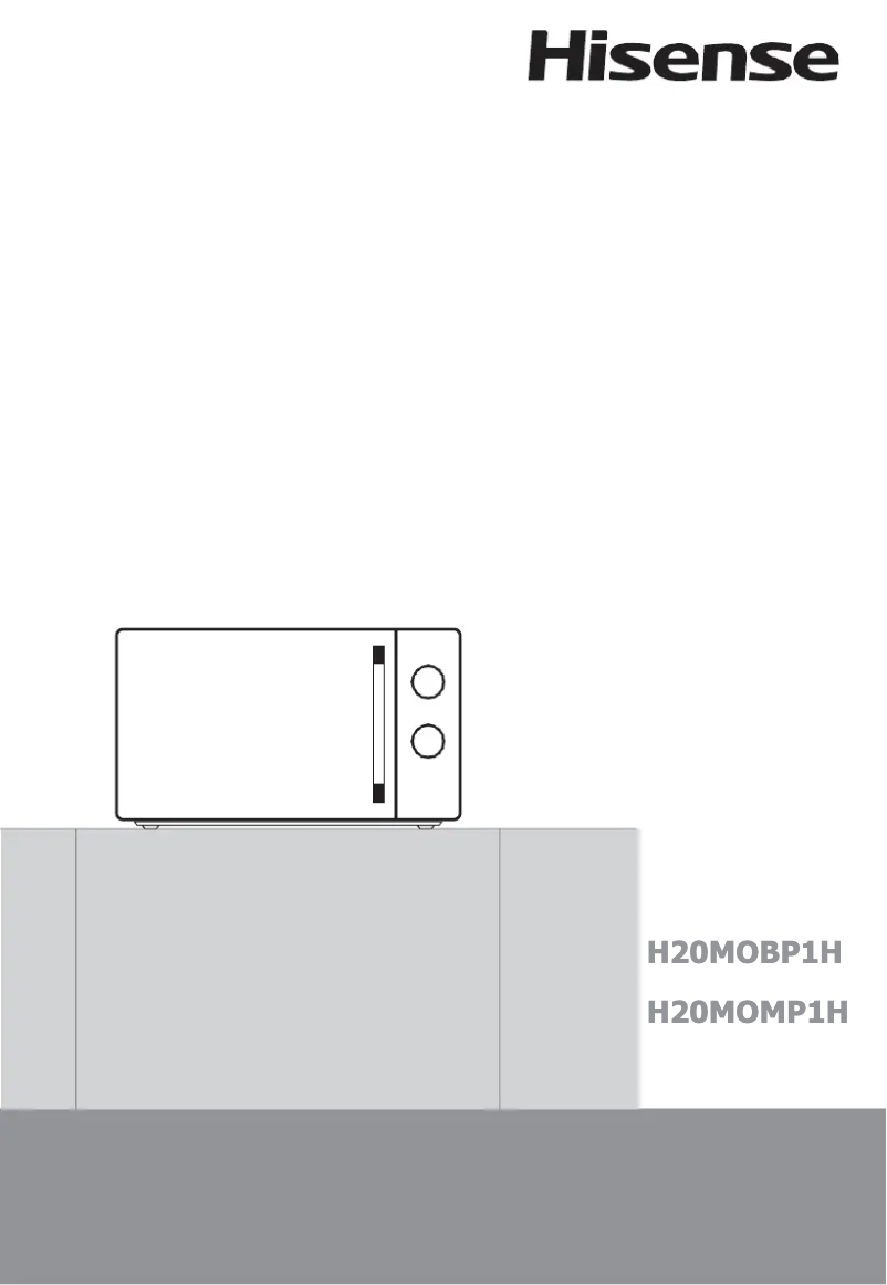 Image de la première page du manuel de l'appareil H20MOMP1H