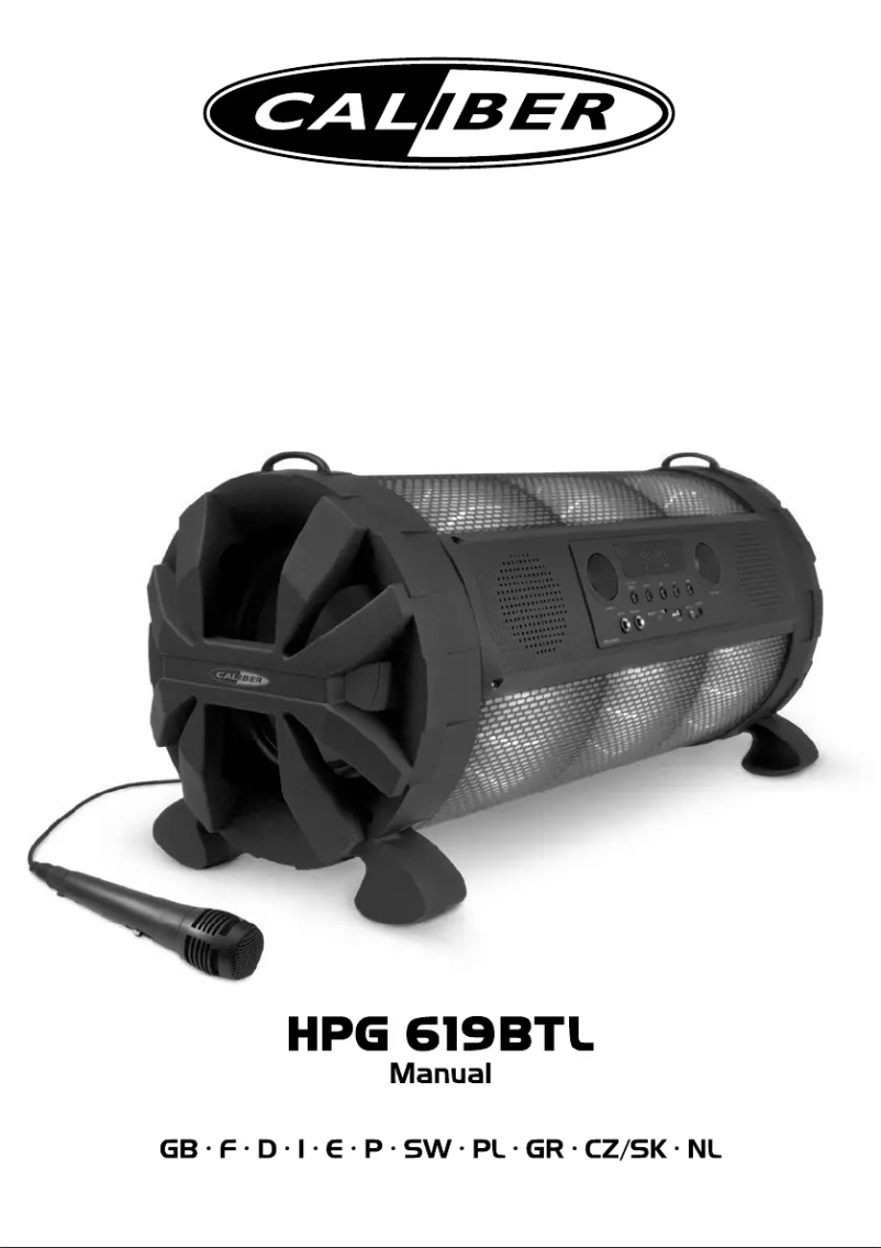 Page 1 de la notice Manuel utilisateur Caliber HPG619BTL