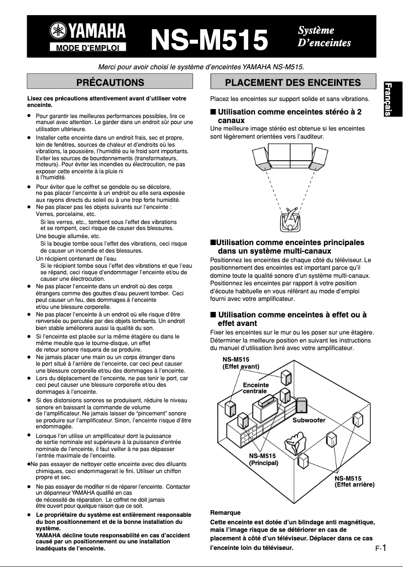 Image de la première page du manuel de l'appareil NS-M515