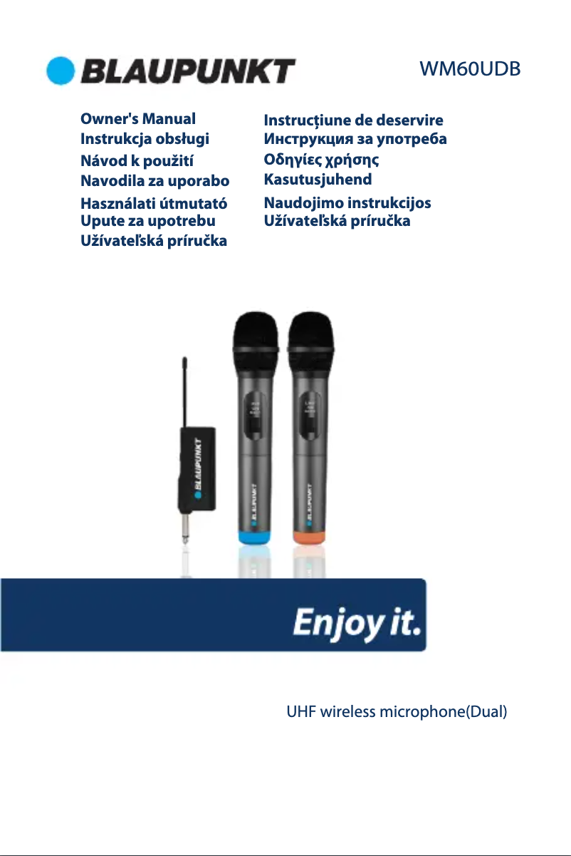 Page 1 de la notice Manuel utilisateur Blaupunkt WM60UDB