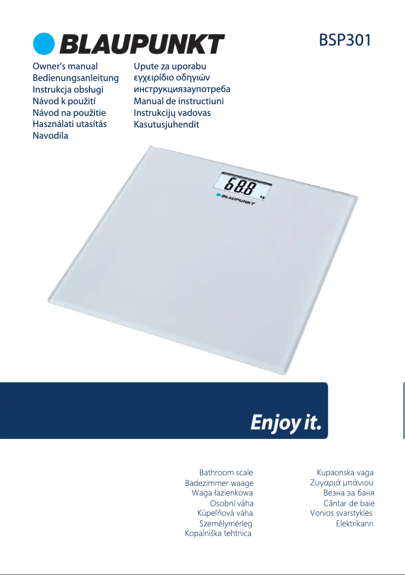 Page 1 de la notice Manuel utilisateur Blaupunkt BSP301