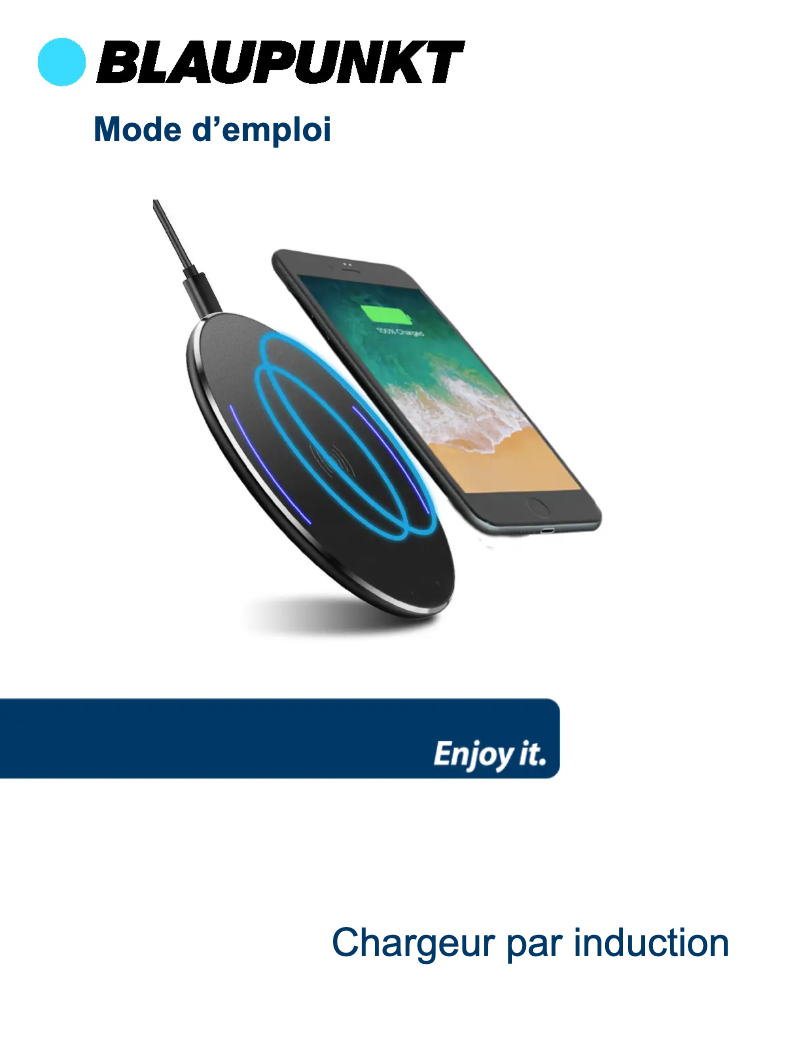Page 1 de la notice Manuel utilisateur Blaupunkt BLP0219