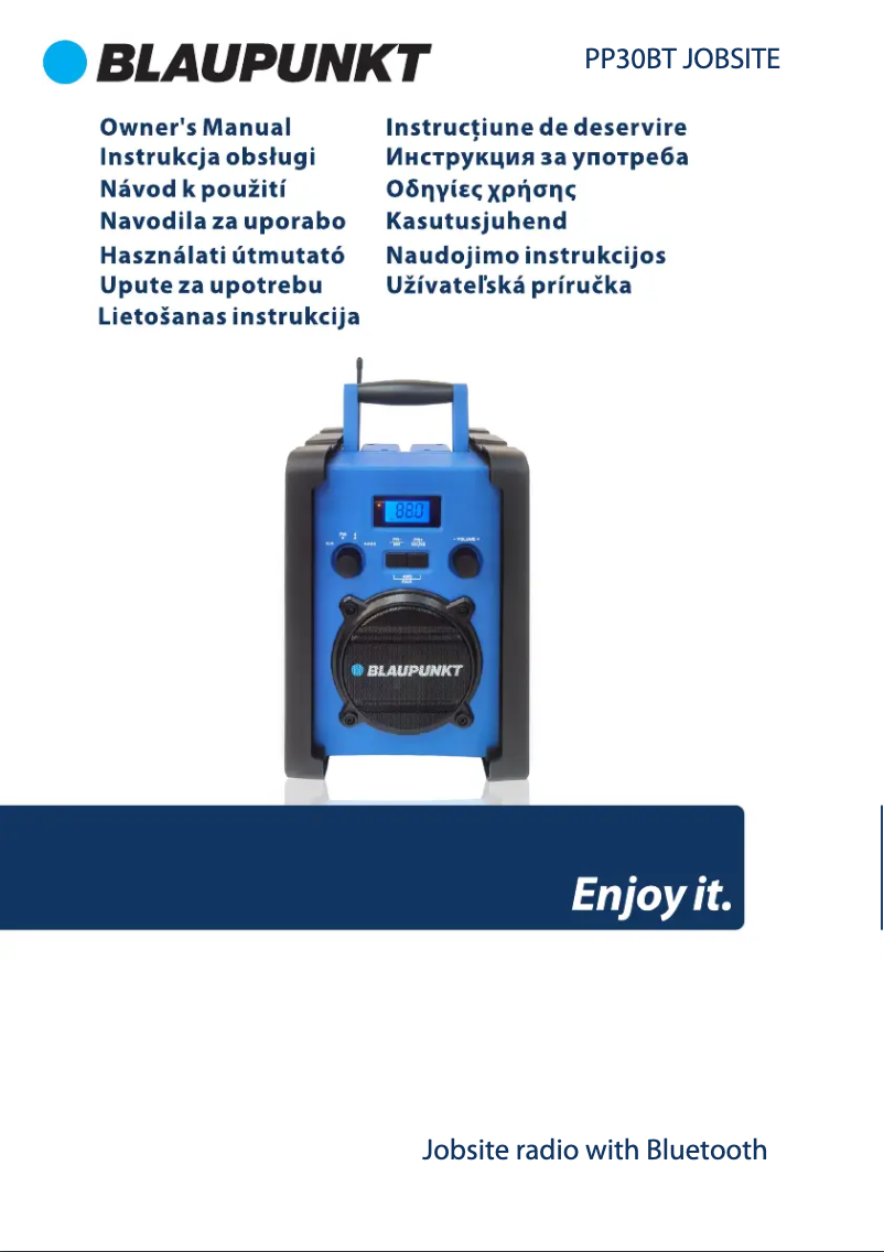 Image de la première page du manuel de l'appareil PP30BT JOBSITE