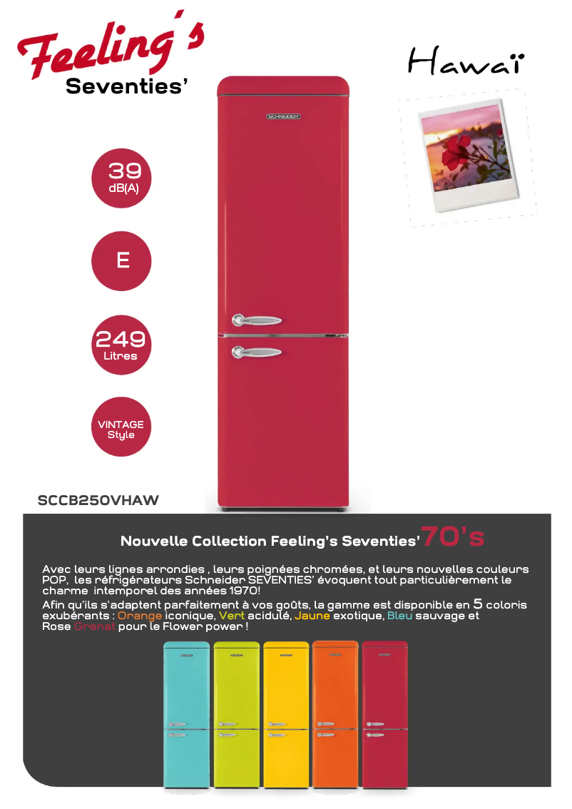Page 1 de la notice Fiche technique Schneider SCCB250VHAW