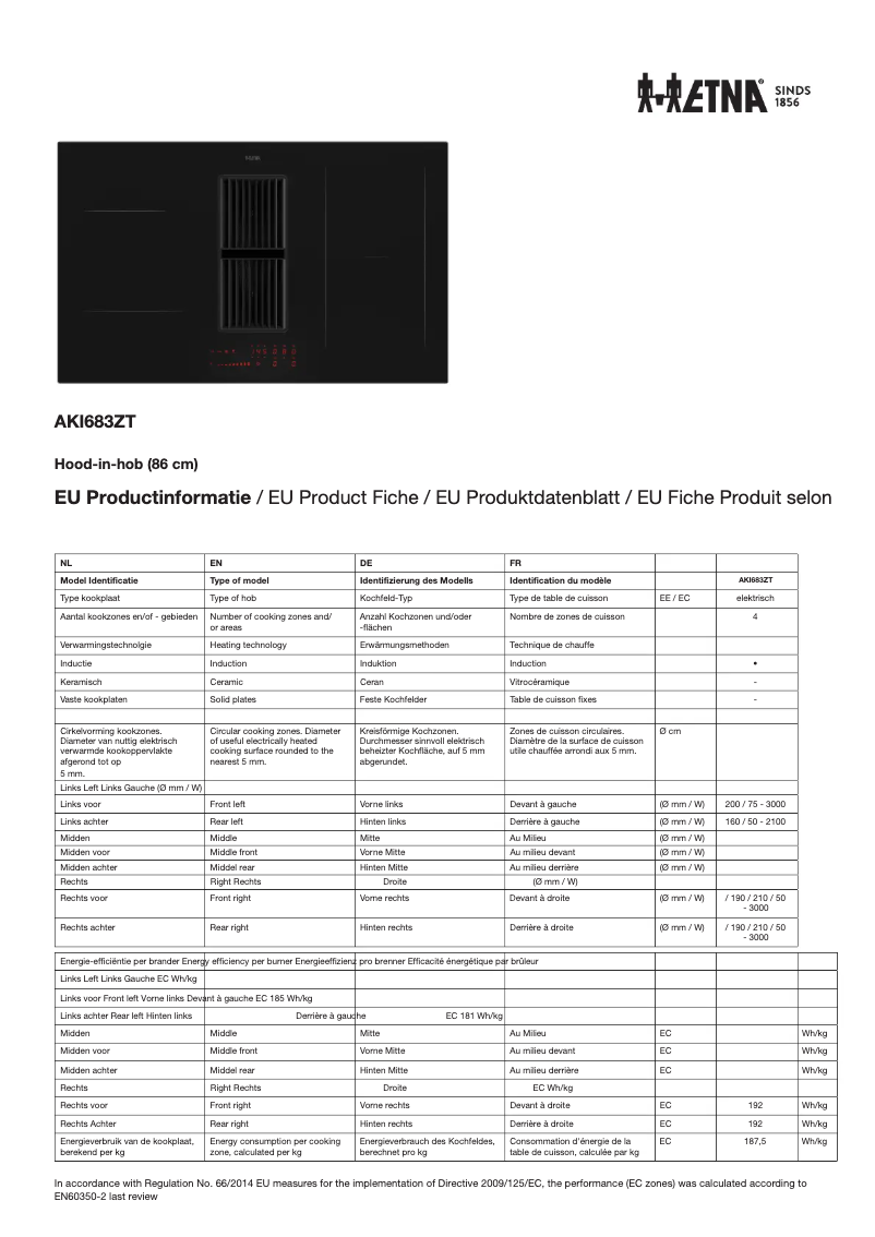 Page 1 de la notice Fiche technique Etna HF3007