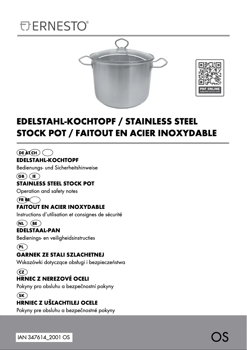 Page n°1 - Manuel utilisateur Ernesto IAN 347614