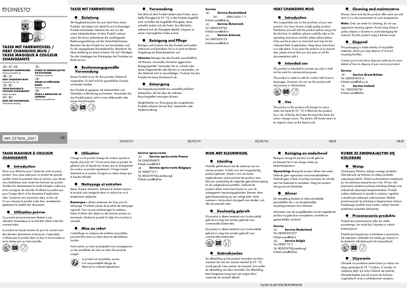 Page 1 de la notice Manuel utilisateur Ernesto HG00625A