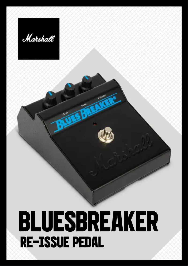 Imagen de la primera página del manual del dispositivo BluesBreaker