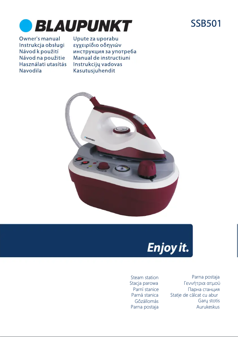 Page 1 de la notice Manuel utilisateur Blaupunkt SSB501