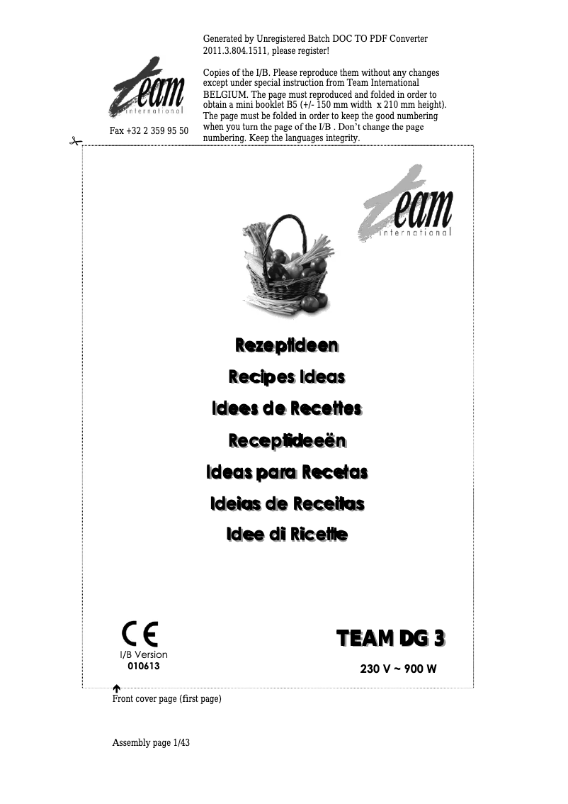 Página 1 del manual Manual de usuario Team DG 3