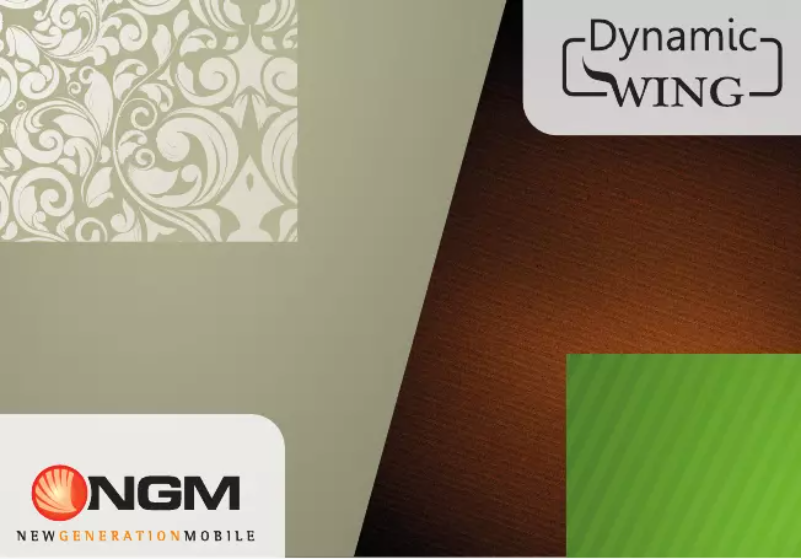 Image de la première page du manuel de l'appareil Dynamic Wing