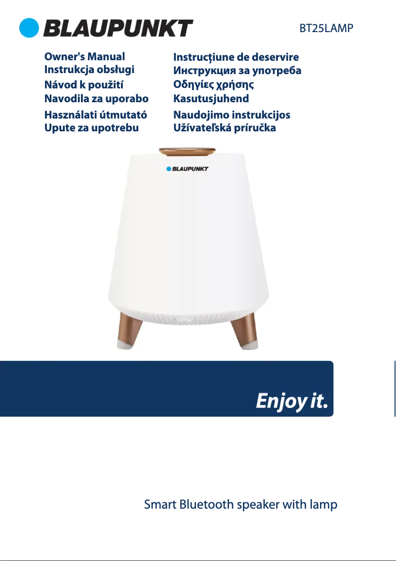 Page 1 de la notice Manuel utilisateur Blaupunkt BT25LAMP