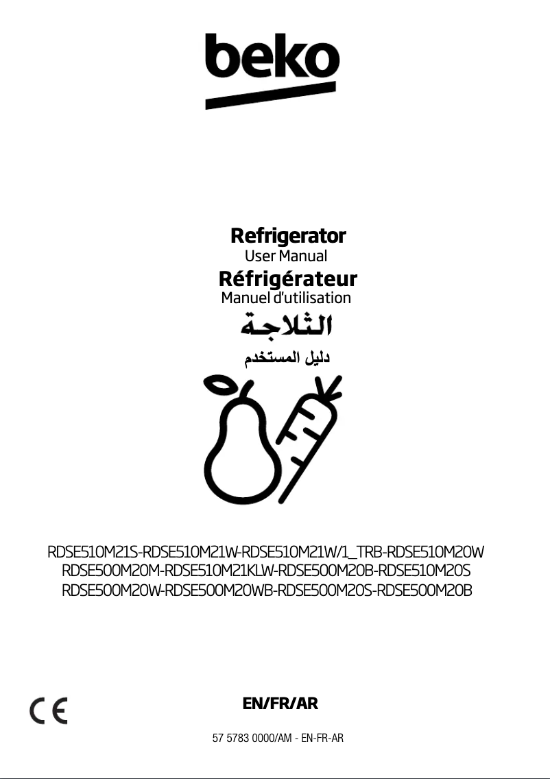 Image de la première page du manuel de l'appareil RDSE500M20M