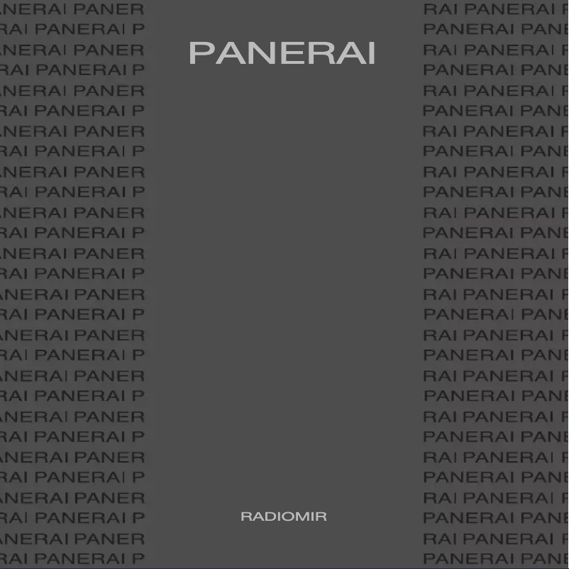 Page 1 de la notice Manuel utilisateur PANERAI Radiomir Black Seal Logo Acciaio